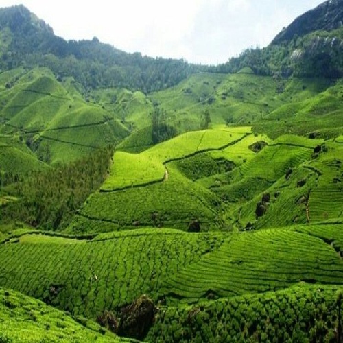Swarnambigai Travels
